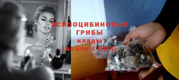 таблы Алексеевка