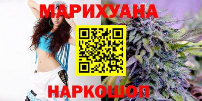 индика Михайловск