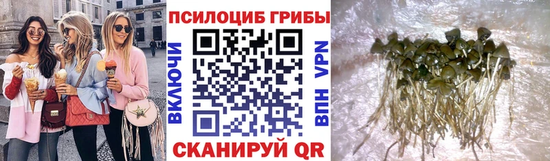 Галлюциногенные грибы Magic Shrooms  Урай 